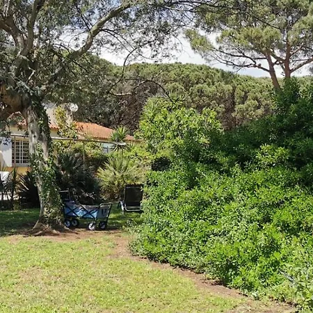Villa Maison A 400 M De La Plage De Pampelonne *